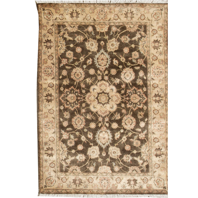 Oriental Area Rug in Brown/Cream