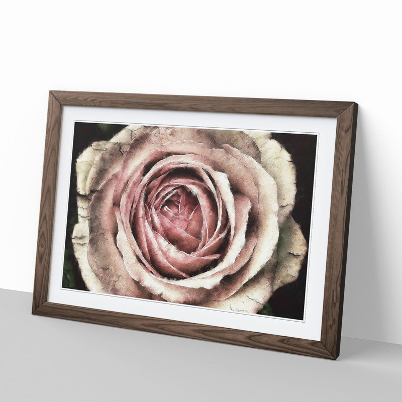 Pink Rose Flower Vol.3 - Framed Print, 27cm H x 36cm W x 2cm D, Walnut Framed