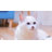 Interactives Cat Slow Feeder Kitty Puzzle With Wand Toy