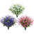 Purple/Rose/White