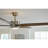 54'' Ceiling Fan with LED Lights-538268432