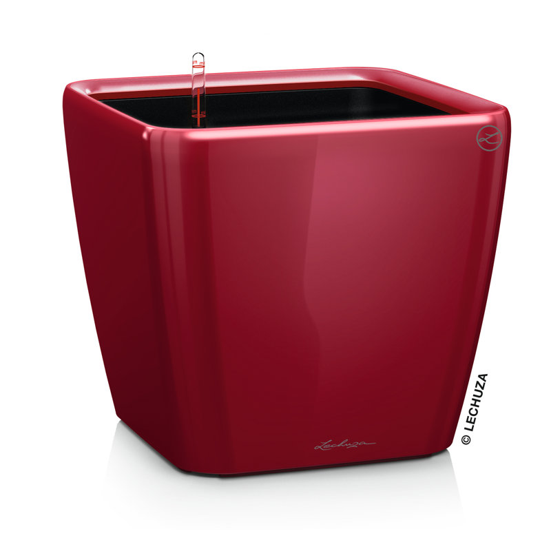 Quadro Premium Pot Planter, Scarlet Red