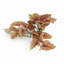 30cm Faux Plant-127681021