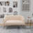 Murrow 50.6'' Velvet Loveseat-71789885