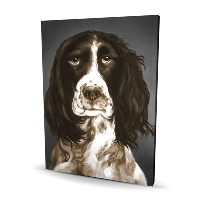 Brown English Springer Spaniel Canvas - Gray Contemporary Decor