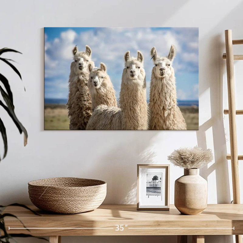 Fluffy White Llamas, 16" H x 24" W