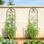 Ensemble de 2 treillis de jardin en métal 86,7 "x 19,7" noir antirouille pour plantes grimpantes