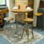 Yessenia Swivel Adjustable Height Counter Stool with Metal Frame