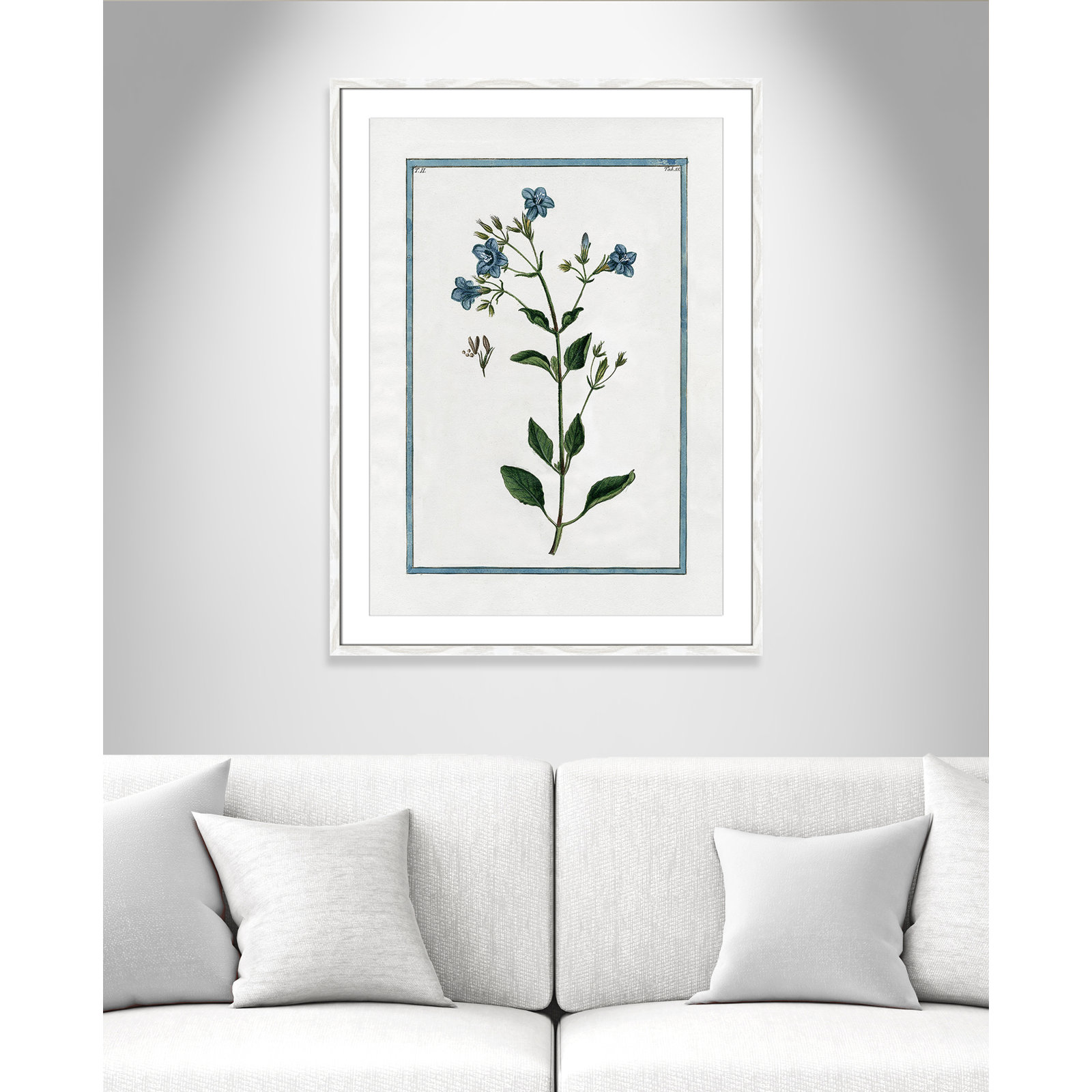 Colombe "Shabby Elegance Botanical II" Print, 25.5" W x 35.5" H, White Framed