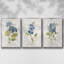 Lin bleu géranium 3 pièces-97758293-97758294