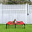 Bundy Elevated Cot-27271182-92537311