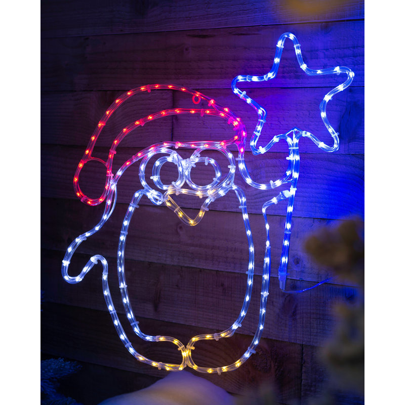 49cm LED Indoor / Outdoor Rope Lights