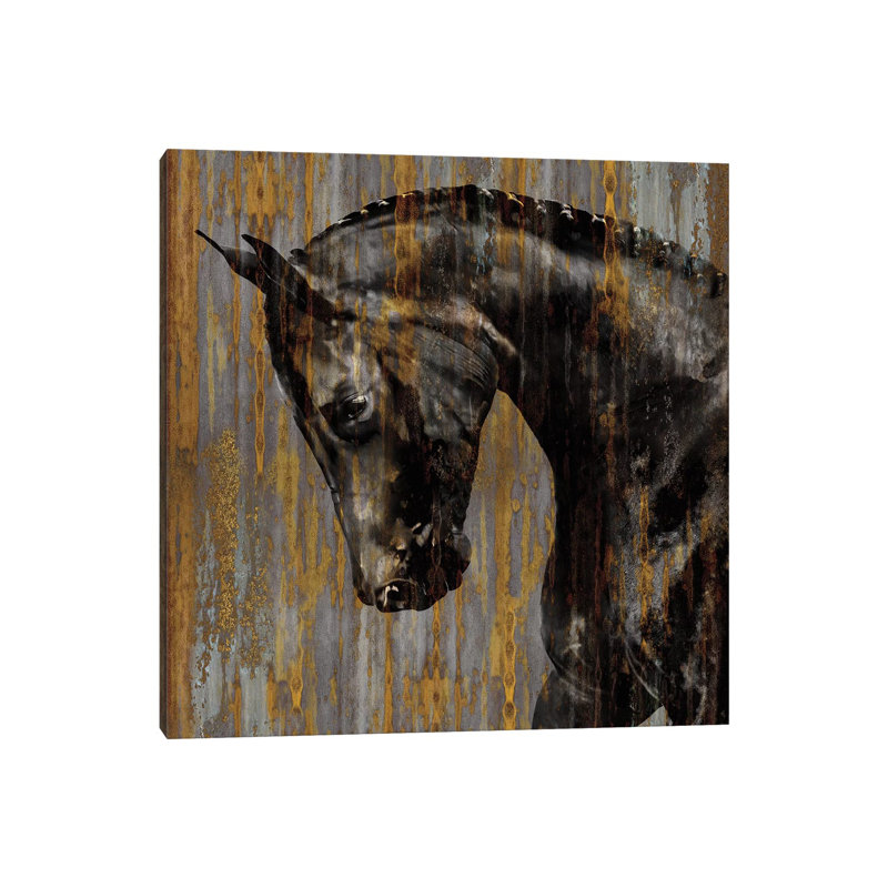 Horse I by Martin Rose - Gallery-Wrapped Canvas Giclée on Canvas, Wrapped Canvas, 66.04 cm H x 66.04 cm W x 1.91 cm D