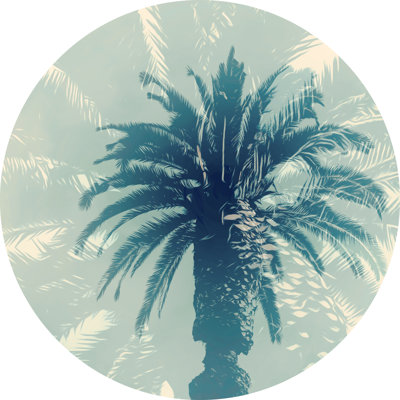 Palmier bleu I