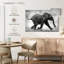 Bébé éléphant Brampt qui court-107685186
