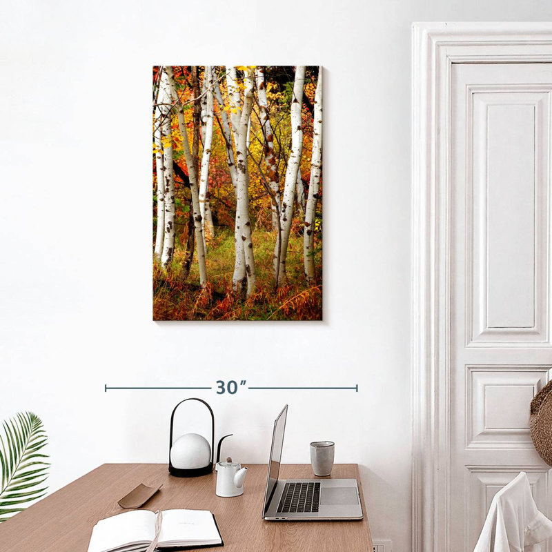 Alvord Slender Birch Trunks, 30" H x 20" W