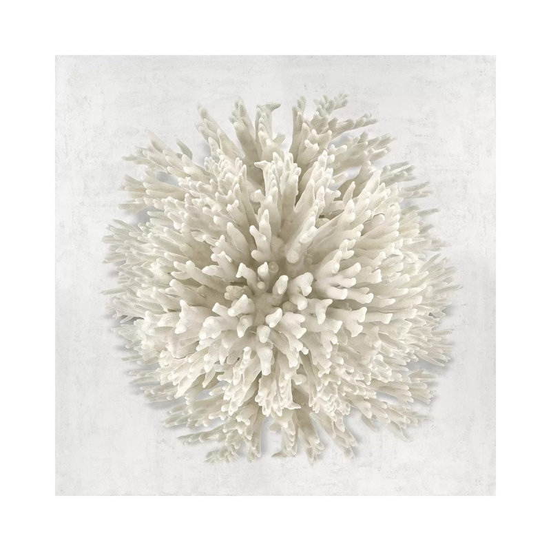 Coral Cream I by Caroline Kelly - Wrapped Canvas Print, 45.72 cm H x 45.72 cm W x 3.175 cm D, Yellow/Beige