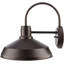 Trachoni Iron Plug-in Barn Light