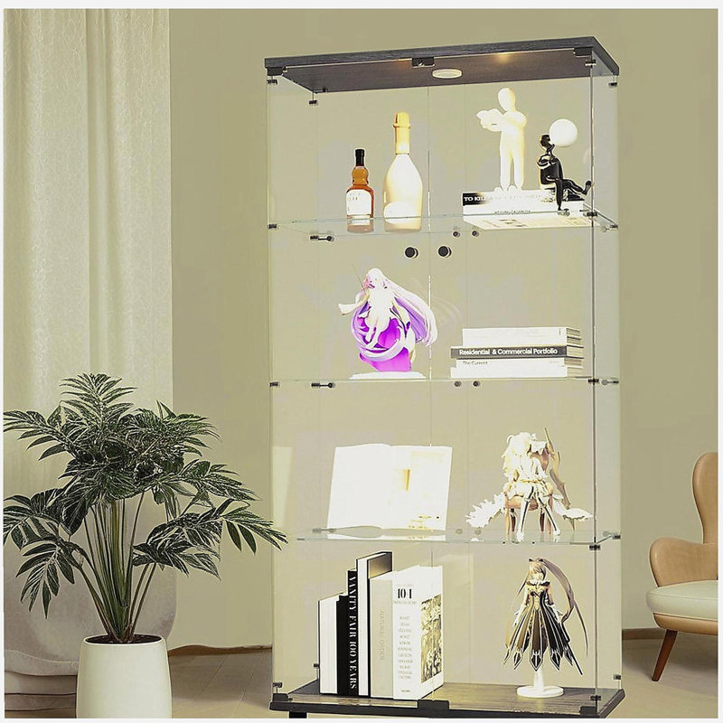 Lighted Two Door Glass Cabinet Glass Display Cabinet with 4 Shelves, Black, Black
