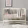 Adam 3 -in-1 Convertible Crib