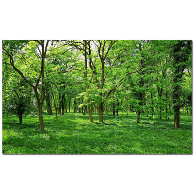 Trees Photo 4.25'' x 4.25''