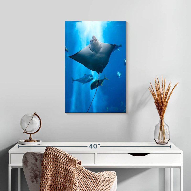 Brampt Manta Ray, 24" H x 16" W