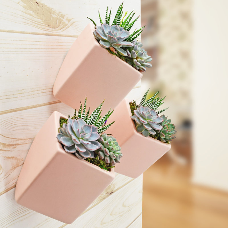 Earhart Ceramic Wall Planter, Coral