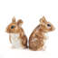 Salt And Pepper - Mouse - Wood Mouse