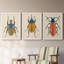 Beetle Bug I - ensemble de 3 peintures sur toile encadrées-1777886078-1777886077