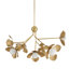 Generosa 7 - Light Chandelier