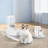 Dog Grooming Vacuum Kit, Pet Groom Vacuum & Dog Clippers & Dog Brush for Shedding