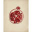 Juicy Red Pomegranate by Josie George — Still Life Wall Art-845290407-845290457-845290460