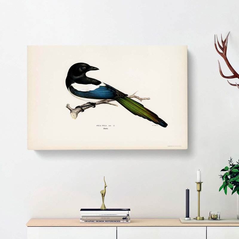 Eurasian Magpie by Von Wright - Wrapped Canvas, 40cm H x 60cm W x 3cm D