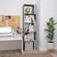 Aleccia 159cm H Bookcase-473375731-473375730