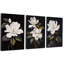 3 Piece Wrapped Canvas Print-2088623224