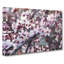 Pink Cherry Blossom Flowers Vol.8 - Wrapped Canvas-61838676