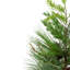 Arbre de Noël artificiel pin 2 po