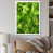 Cadre simple blanc