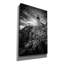 'October Morning At West Quoddy Head Monochrome' by Rick Berk Canvas Wall Art, 18" x 26"-109180789