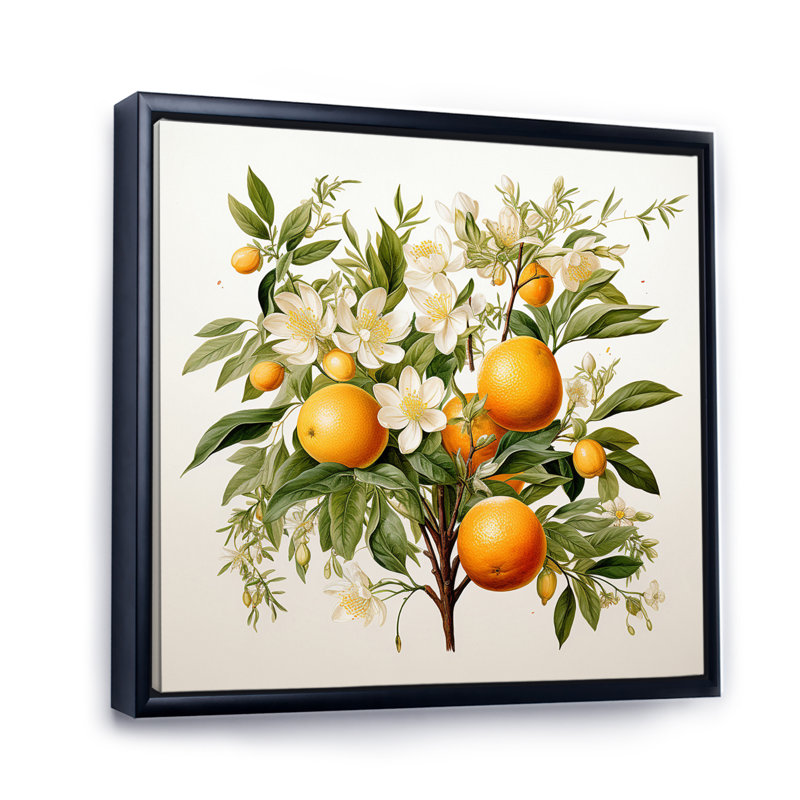 Fruit, art mural sur toile, arbre, reproduction botanique, H 36 po x l 36 po x P 1,5 po, Cadre flottant noir