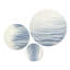 Bleu et beige, algues océaniques - art marin 3 pièces