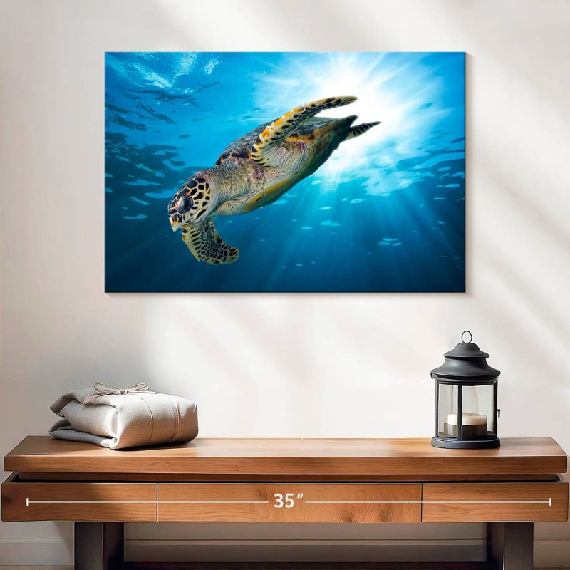 Plongée tortue imbriquée Brampt, H 16 po x l 24 po