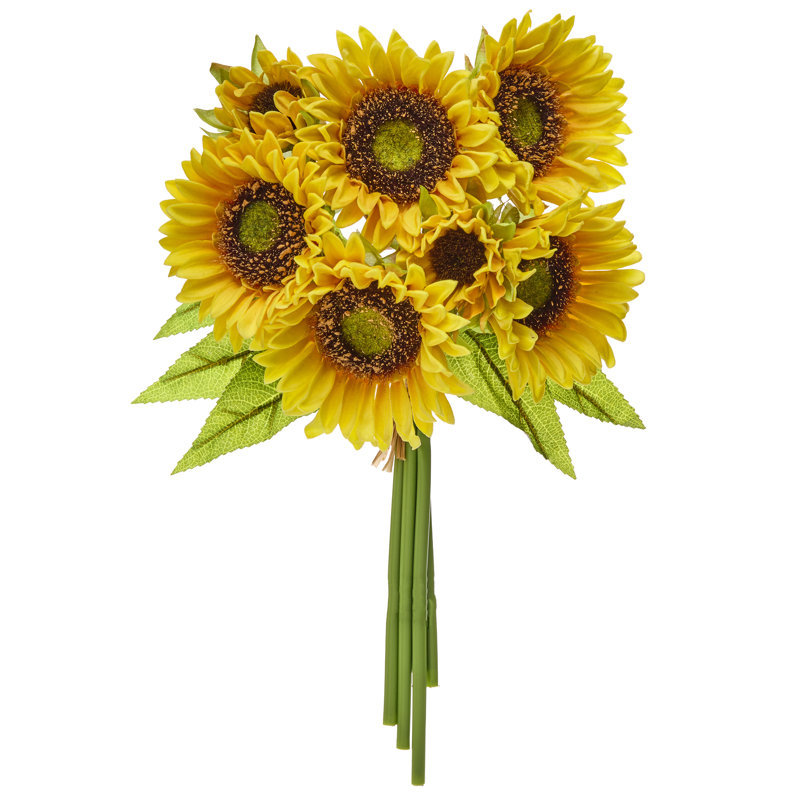 Ensemble de tournesol 14 "Pu
