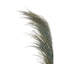 117cm Faux Pampas Grass Grass-734366490