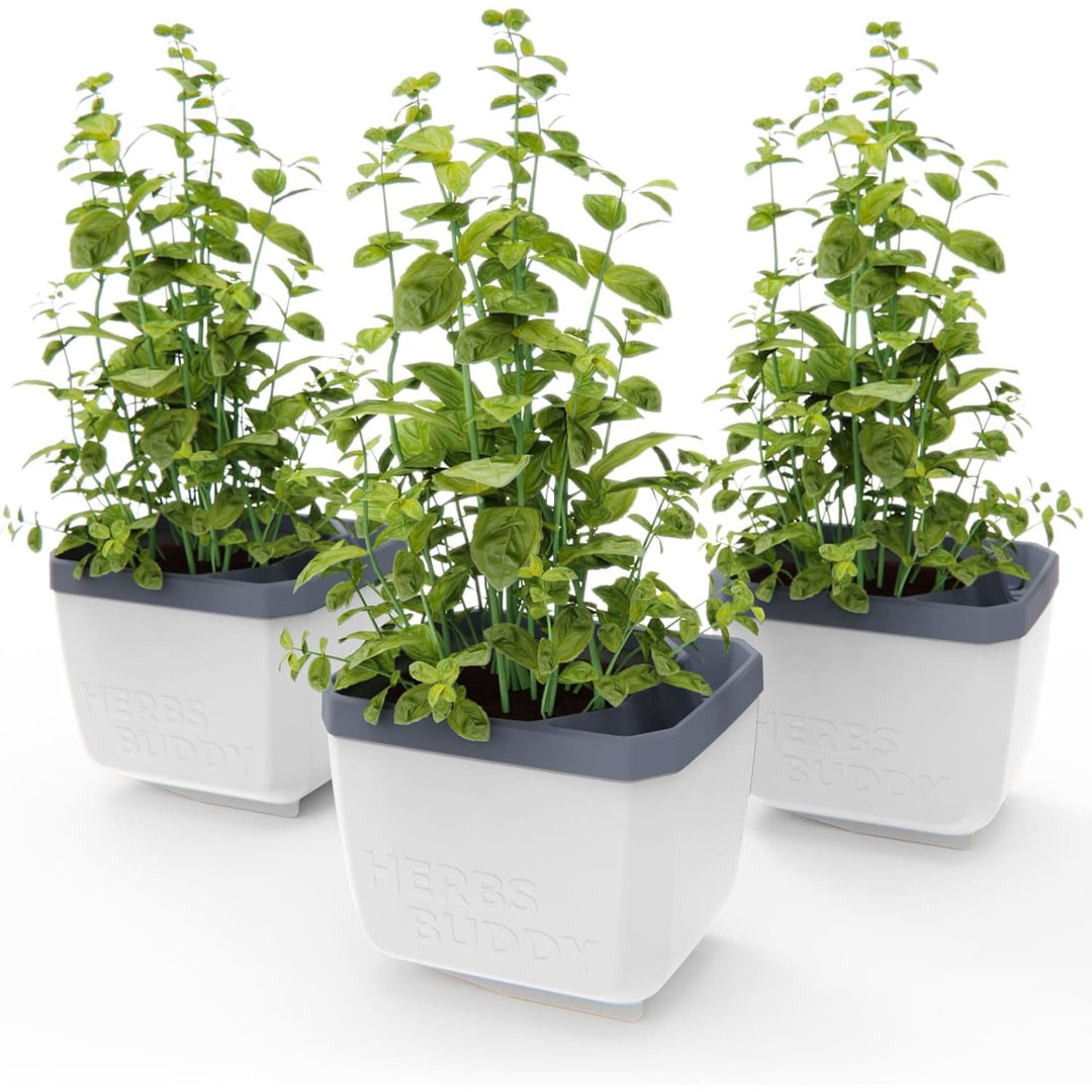 Gusta Garden White Herbs Buddy Herb Pot With Water Reservoir - 3 Pcs - Image 3