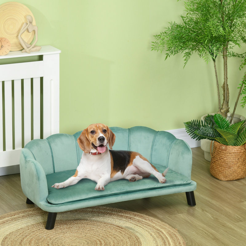 Grand chien en velours, coussin en mousse et élégante perle pour les grands chiens de taille moyenne, nid de velours et canapé moelleux