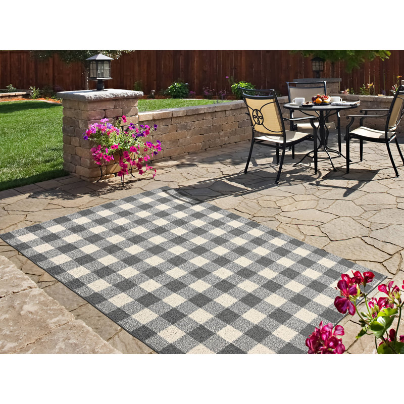 Josephene Checkered Indoor / Outdoor Rug, Rectangle 5' x 7'