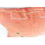 Housse de coussin Atlas-101921221-101921222