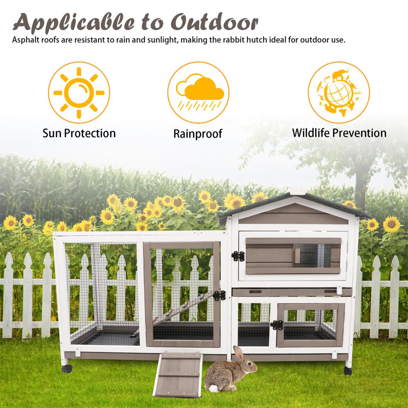Rabbit Hutch With Wheels