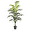 Palmier en pot-1345970931